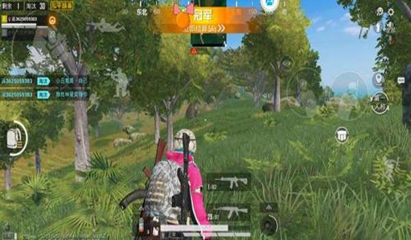 和平精英有没有透视辅助 和平精英有没有透视辅助