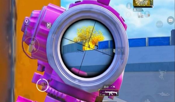 和平精英怎么辅助识别人脸