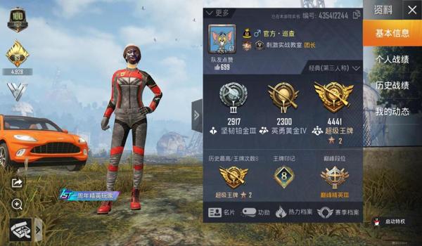 和平精英王牌高端局辅助