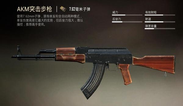 和平精英辅助最怕什么枪