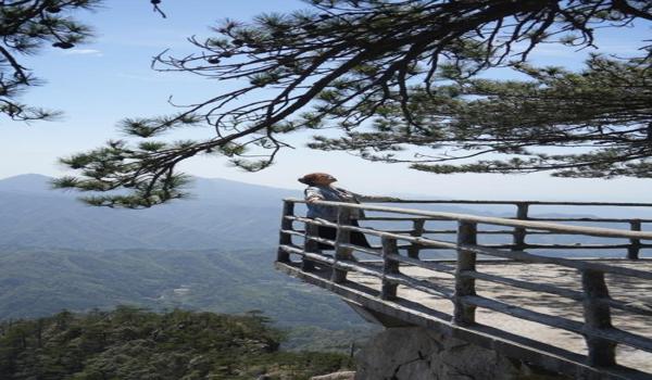 和平精英仙鹤辅助下载安装