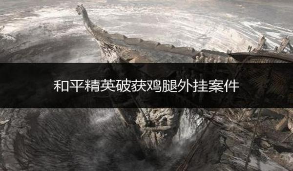 和平精英鸡腿辅助卡密