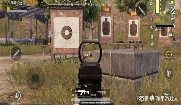 和平精英最恐怖的压枪训练