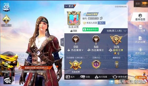 辅助上分和平精英怎么玩