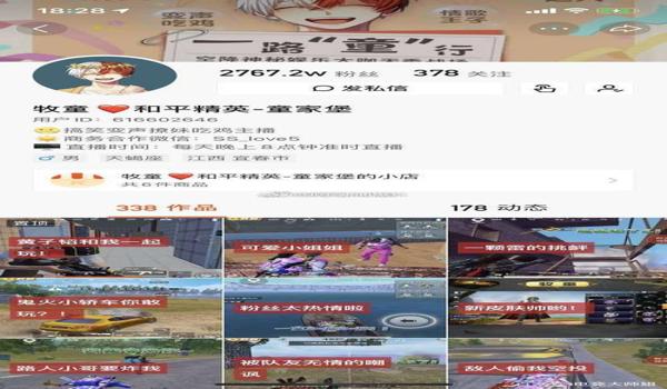 和平精英牧童辅助软件下载