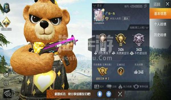 和平精英波比辅助授权吗