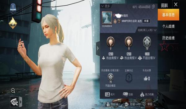 游戏id和平精英辅助