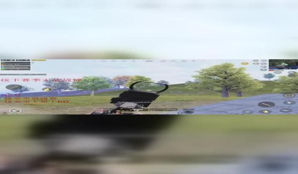 yy游戏辅助器和平精英