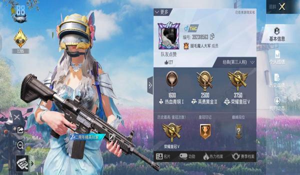 西西软件园和平精英辅助