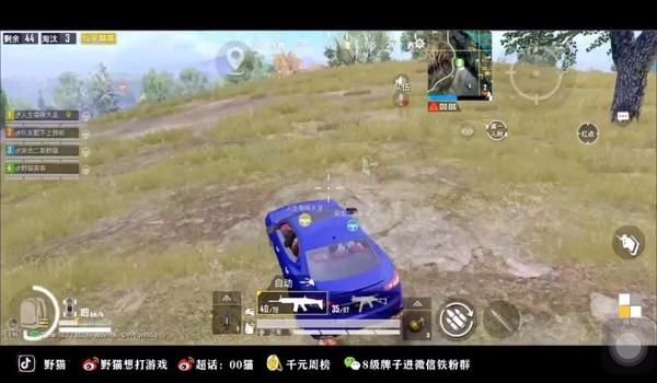 野猫和平精英解释辅助瞄准