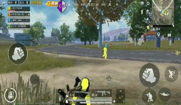 和平精英小鸡炖蘑菇辅助