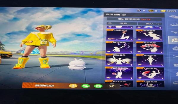 和平精英的辅助操作在哪