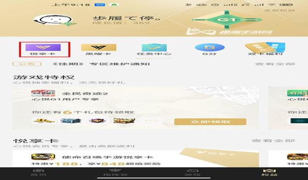 和平精英定制辅助官网入口