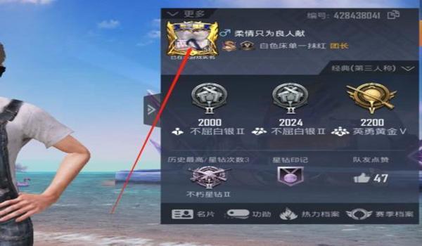 和平精英qq怎么辅助好友