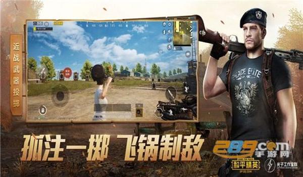 和平精英仙人辅助会封