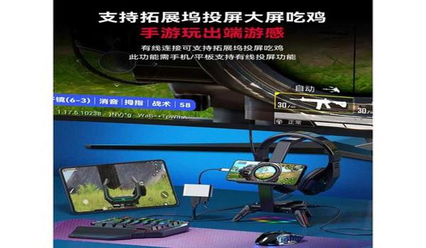 和平精英国际服火灾辅助