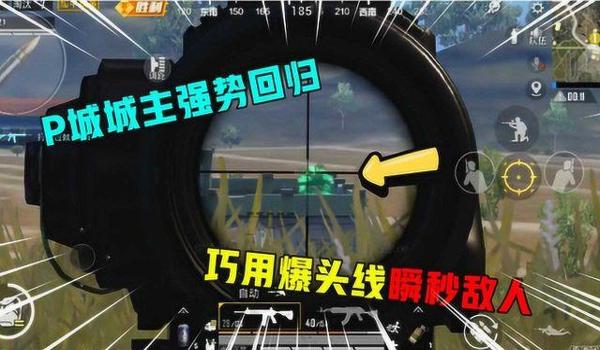 和平精英爆头线辅助器软件