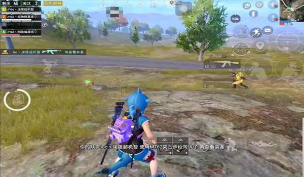 和平精英辅助最怕的队友