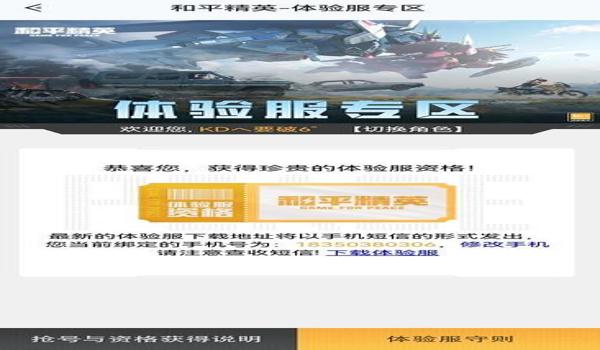 和平精英体验服辅助免费