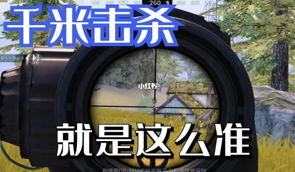 和平精英大盘鸡压枪视频