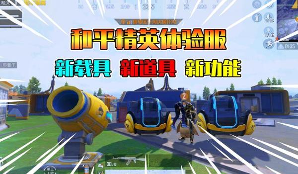 直装辅助游戏和平精英