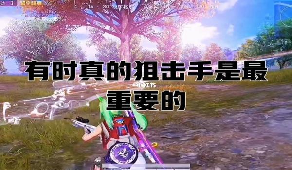 和平精英正版狙击手辅助