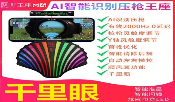 和平精英远程辅助软件