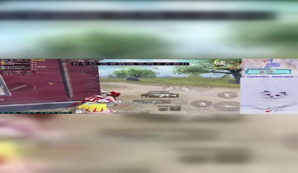 和平精英瓜皮阿尔法辅助