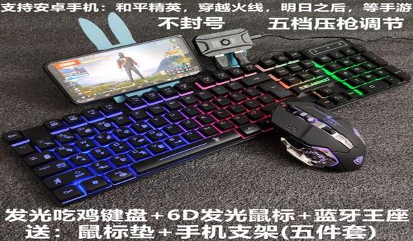 和平精英辅助怎么用