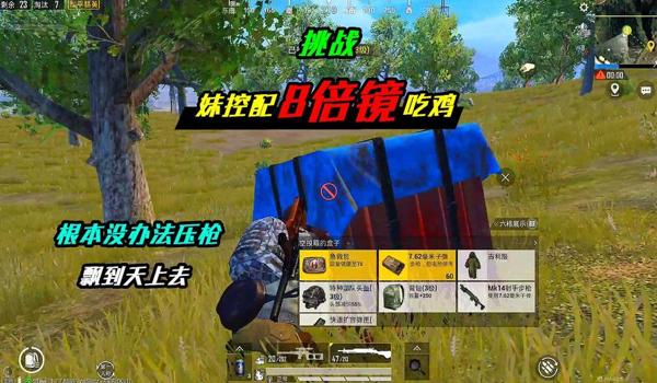 和平精英官方压枪视频