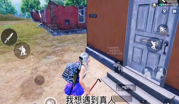 和平精英单排辅助神器下载