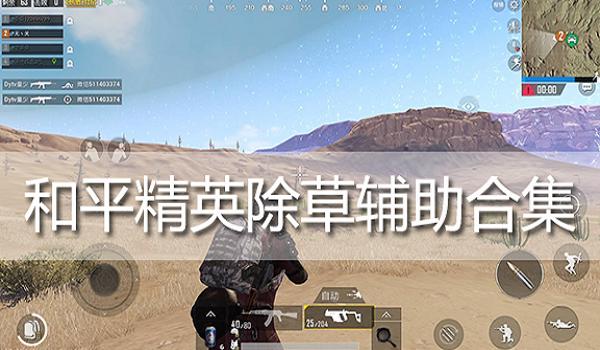 极星和平精英辅助怎么用