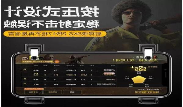 和平精英辅助标点怎么用