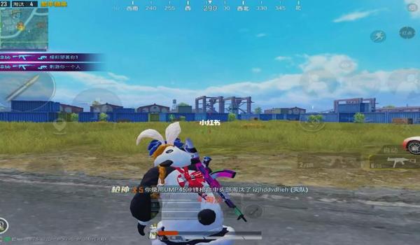 和平精英熊猫辅助在哪下载