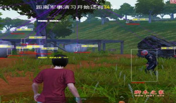 和平精英国际服辅助除草