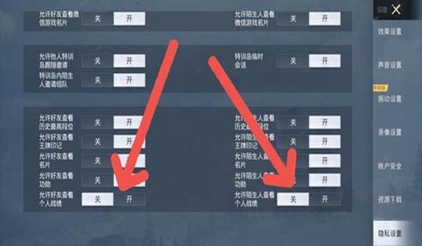 和平精英私信怎么加辅助