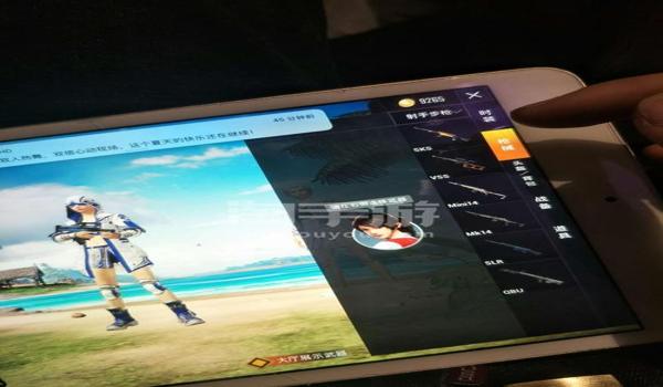 Ios和平精英绘制辅助