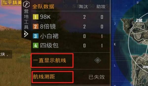 和平精英辅助功能在哪