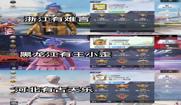 手机和平精英有辅助么