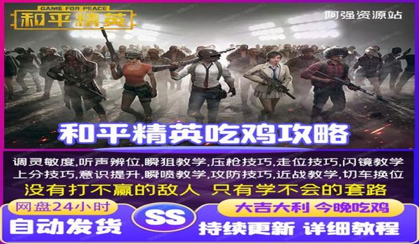 和平精英压枪最稳的辅助