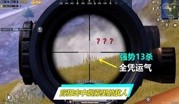 和平精英盲狙准星辅助