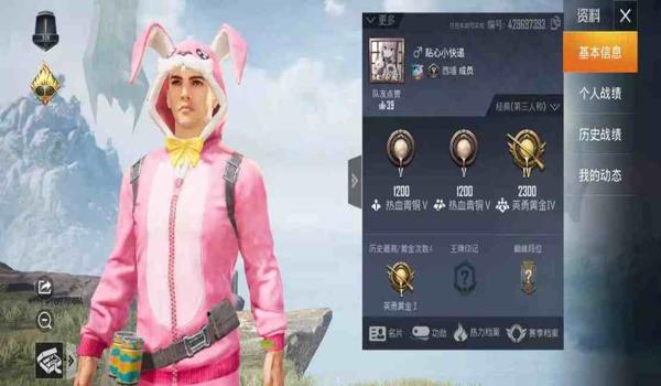 兔子辅助和平精英怎么玩