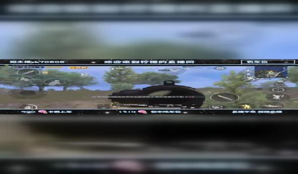 和平精英瑶瑶辅助怎么开