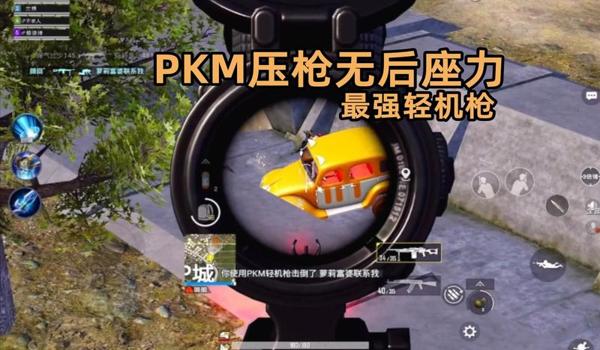 暗影王座压枪和平精英 暗影王座压枪和平精英