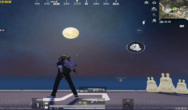 和平精英手游辅助破解版