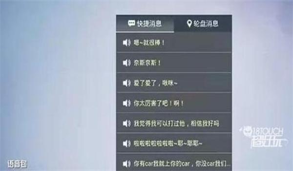 和平精英蓝天辅助没语音