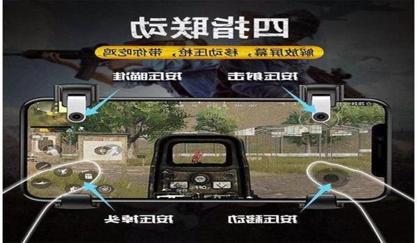 和平精英辅助次数怎么看