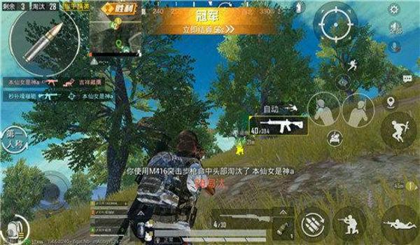 弑神辅助pro 和平精英