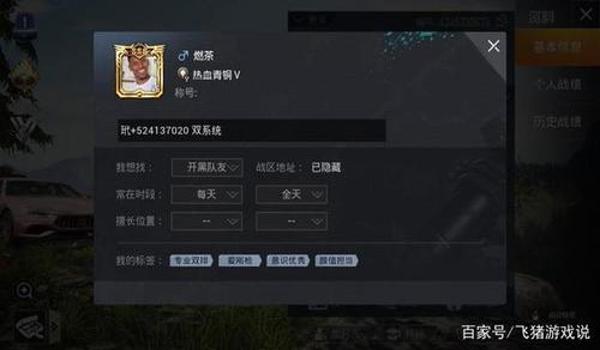 和平精英私信辅助怎么发