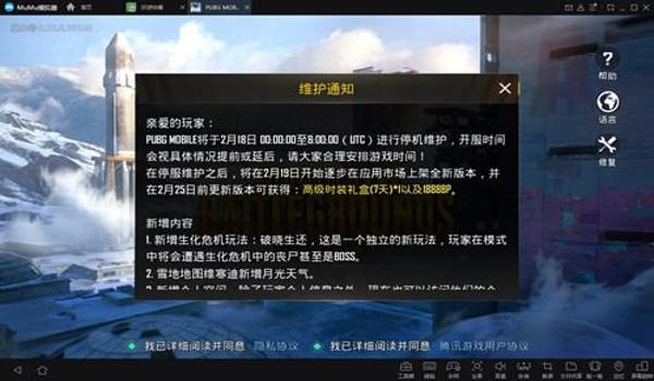 和平精英国际服辅助要钱